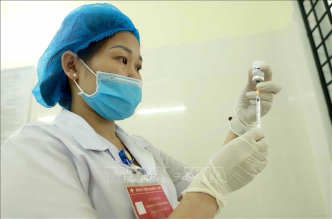 ĐỪNG KÉN CHỌN VACCINE - Vimarsana News